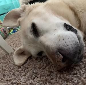 Meet your Posher, Cynthia